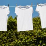 白Tシャツの洗濯完全ガイド｜黄ばみ・くすみを防いで真っ白をキープする方法
