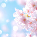 春におすすめのＴシャツの素材と厚さ